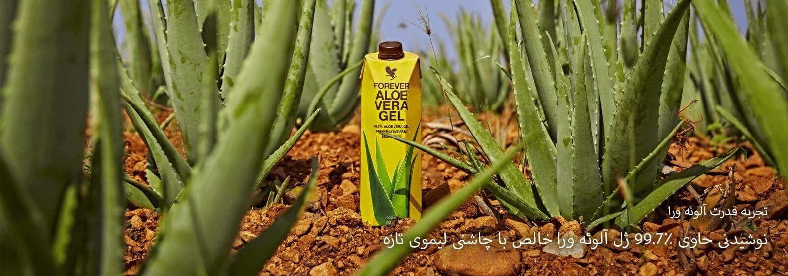 فوراور آلوئه ورا ژل | Forever Aloe Vera Gel